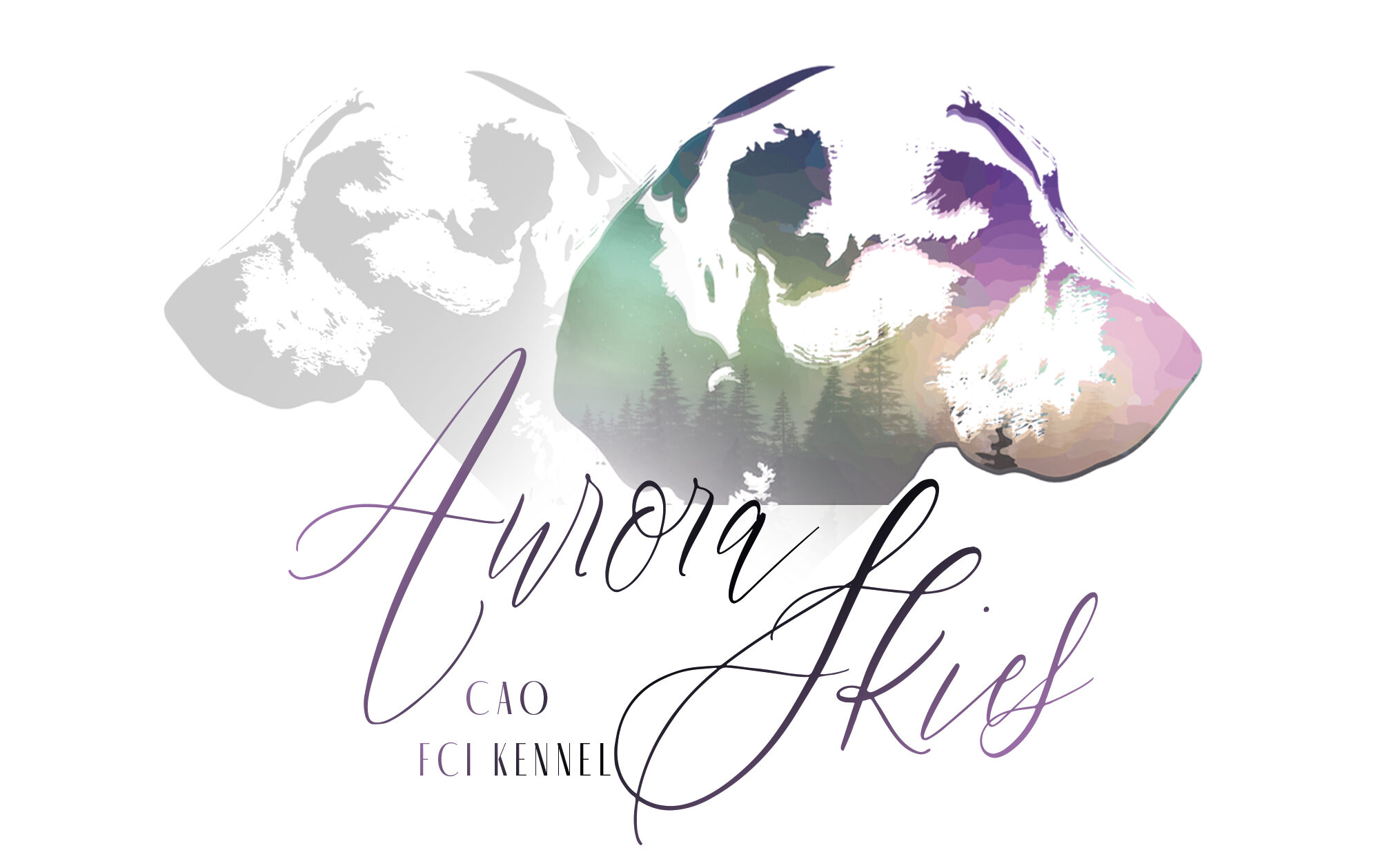 Aurora Skies FCI